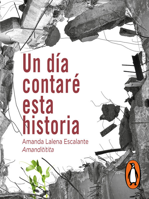 Cover image for Un día contaré esta historia